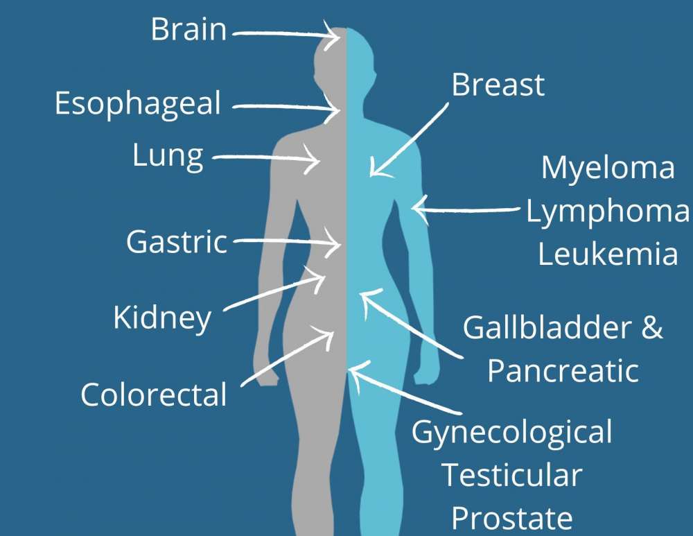 Cancer Types Waterloo Wellington Regional Cancer Program